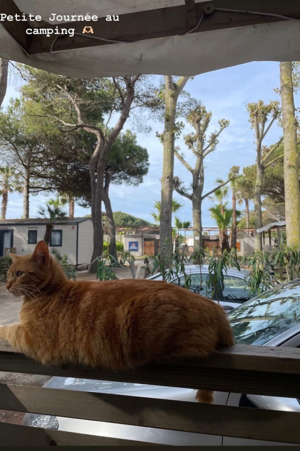 Mobilheim in idealer Lage in der Nähe aller Annehmlichkeiten Apartment in Marseillan