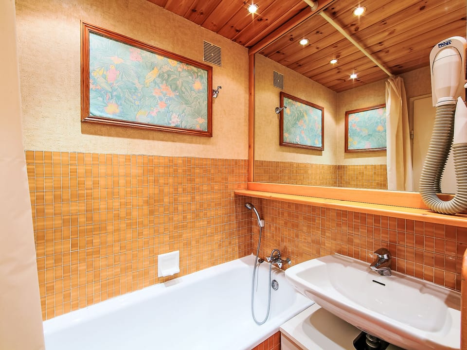 Bathroom / Wellness