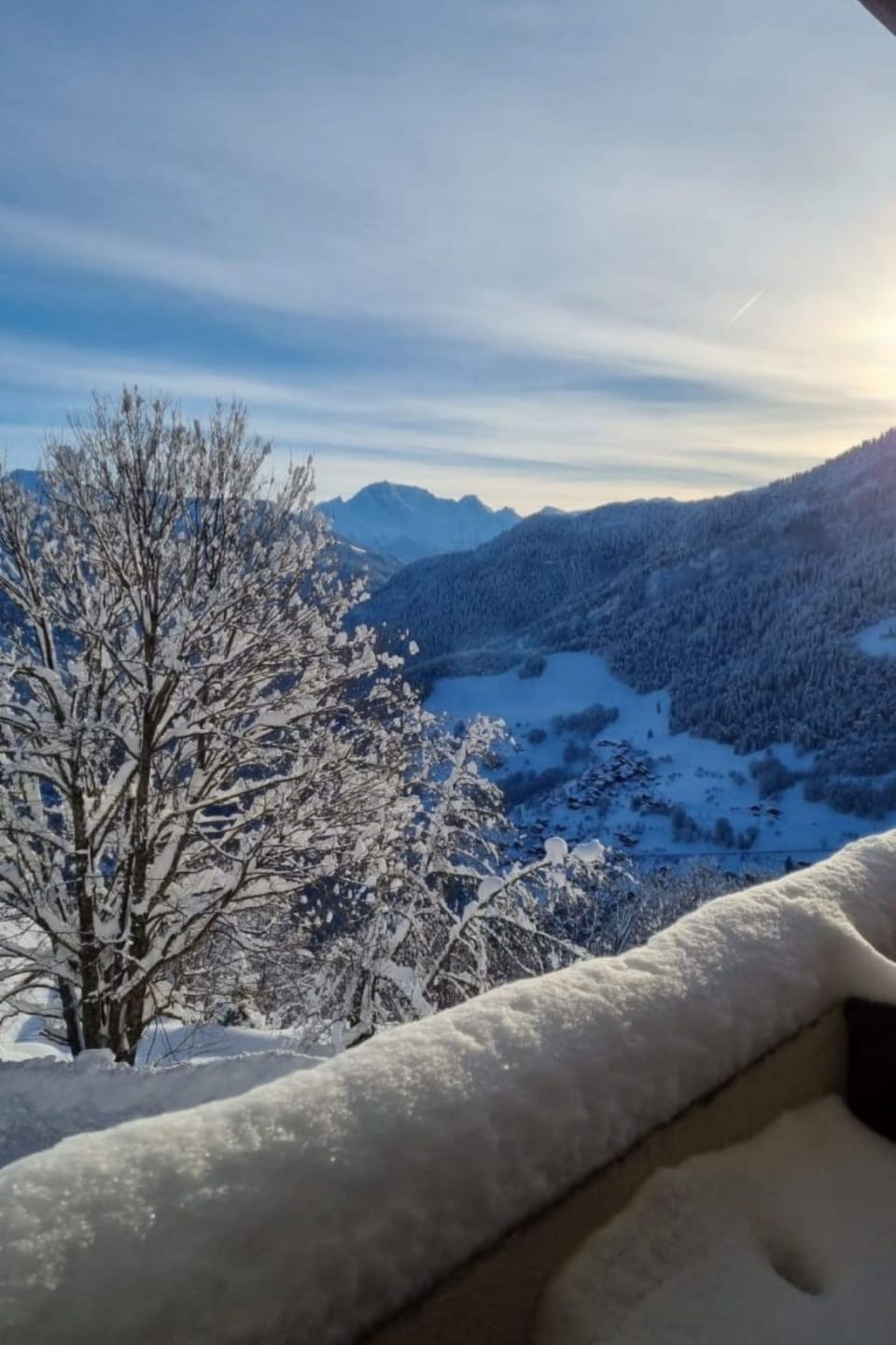 View