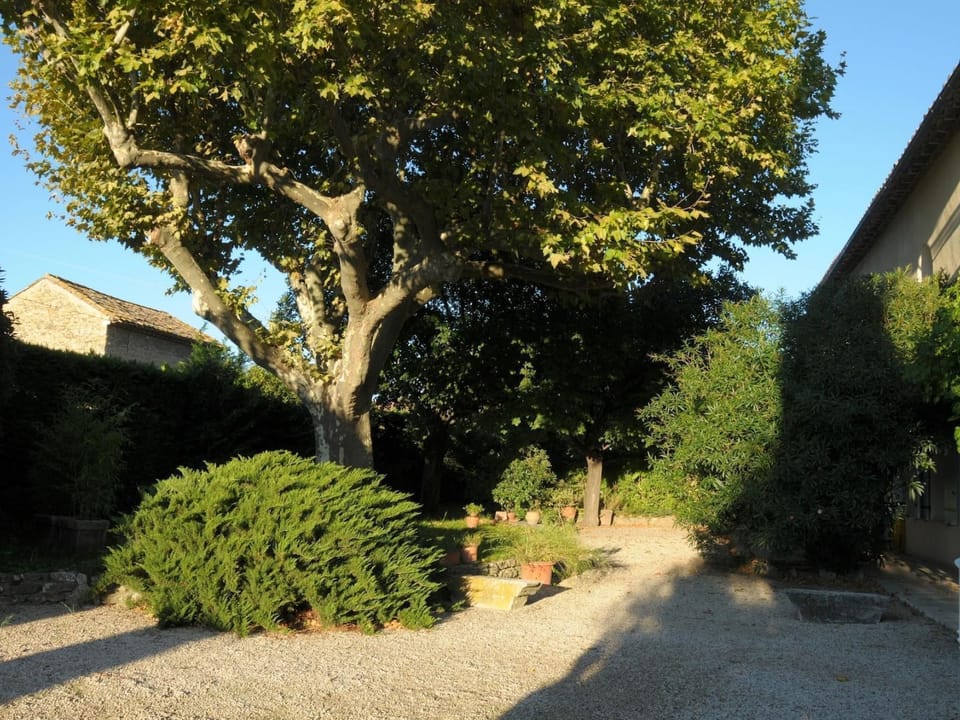 Bauernhaus mit Garten und Pool mit Bergblick Vacation rental in Provence-Alpes-Côte d'Azur