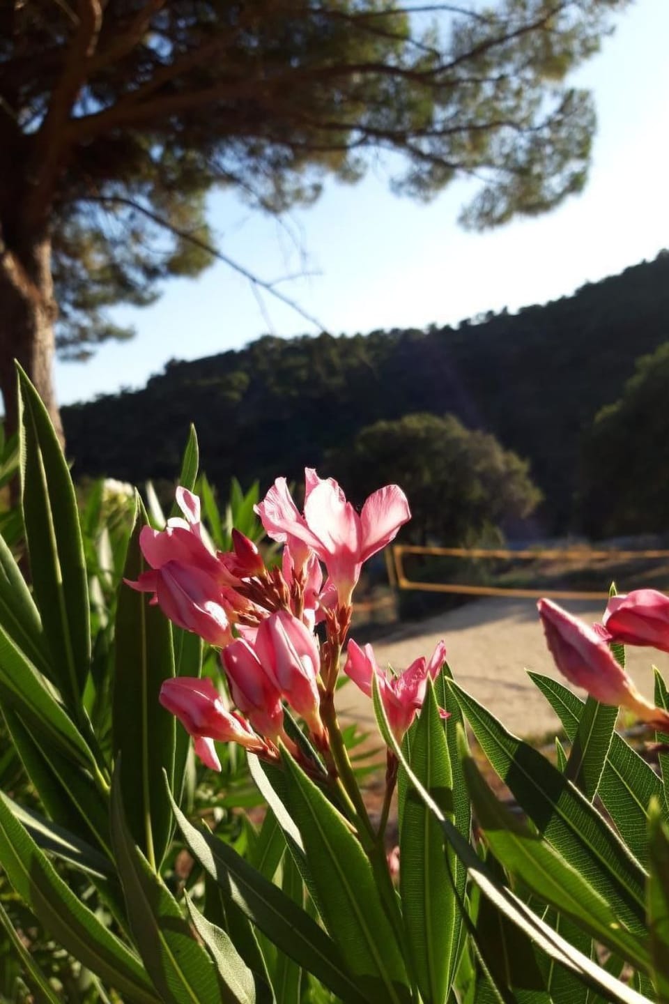 4 Zimmerhaus Vacation rental in Sainte-Maxime
