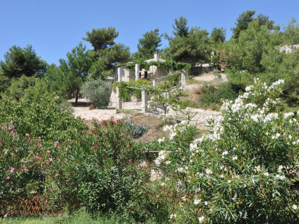 Studio mit Blick auf das Wasser Vacation rental in Thasos