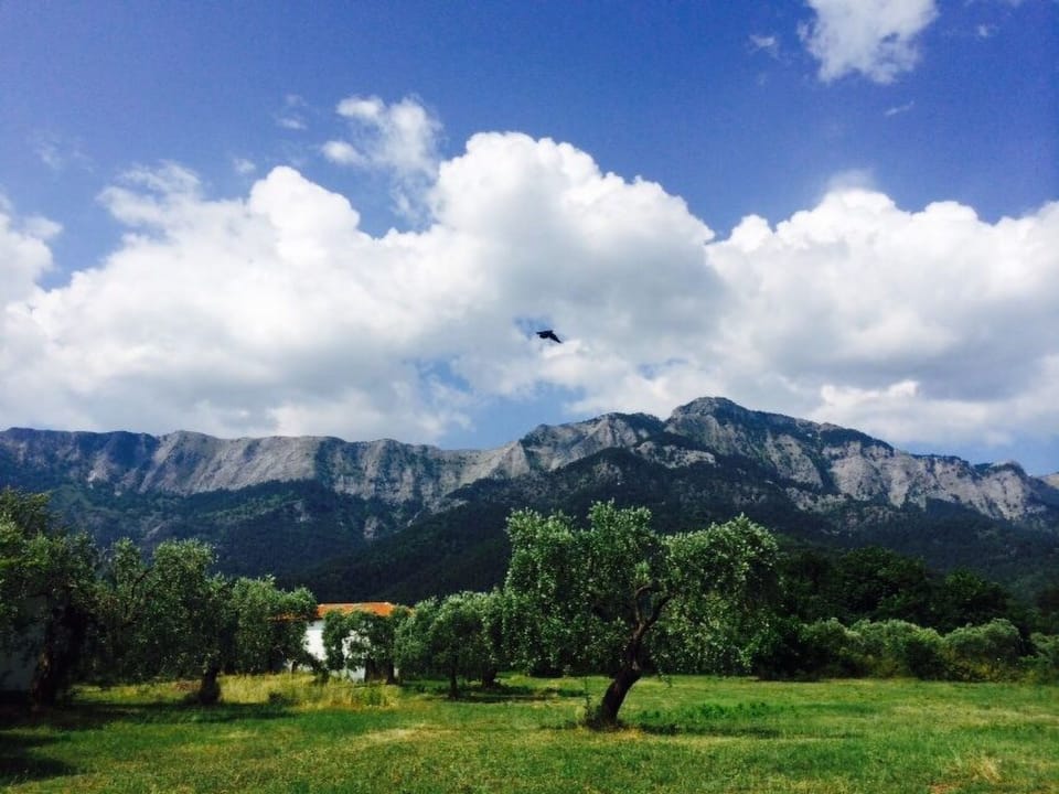 Strandnahes Ferienhaus mit privatem Garten Vacation rental in Thasos
