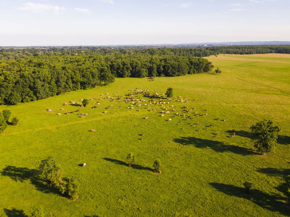 Aerial photography
