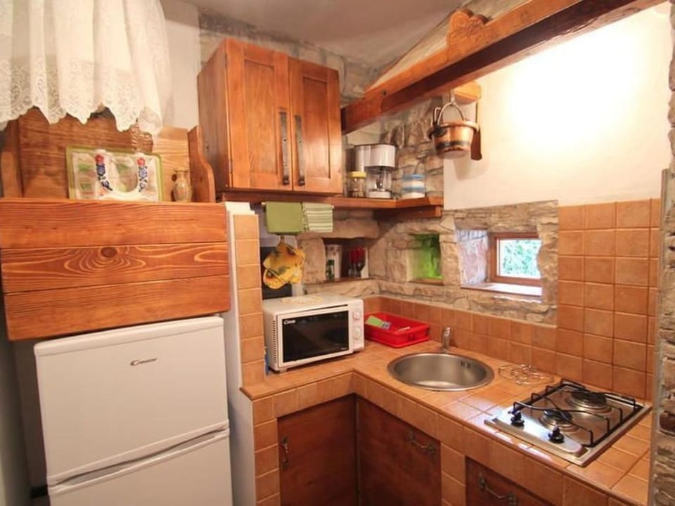 Kuća Dario Apartment in Istria County