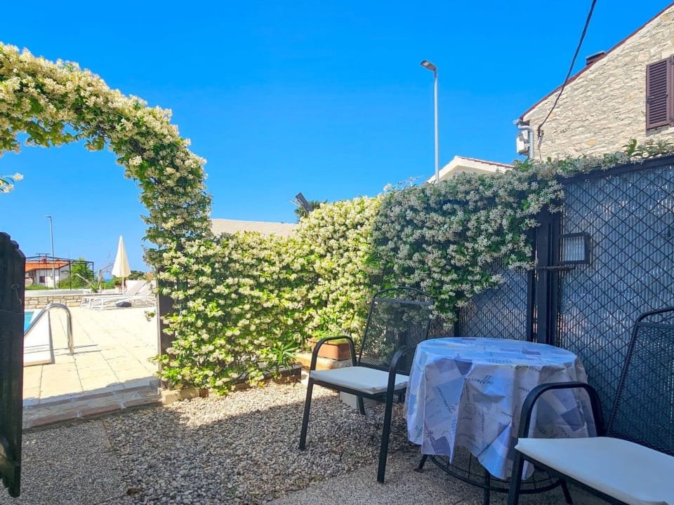 mit Pool Apartment in Novigrad