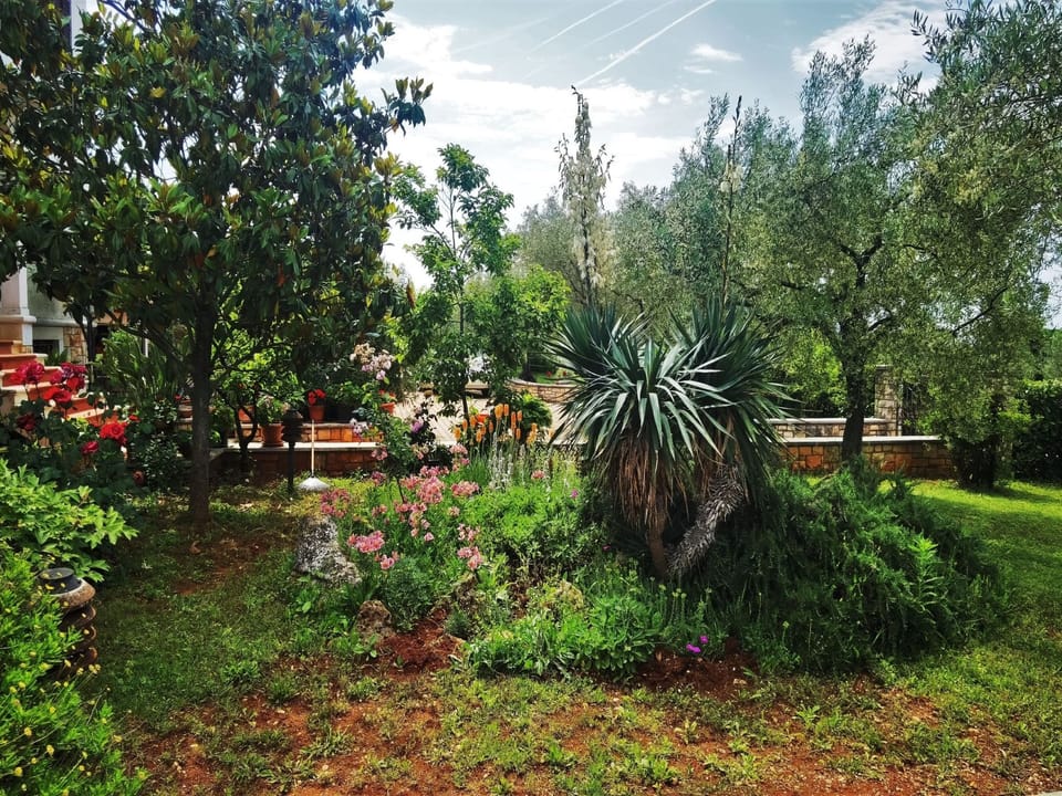 "Nora" mit Terrasse Apartment in Istria County