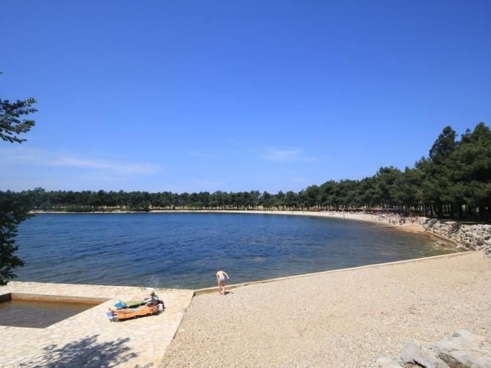 Vesna Apartment in Novigrad