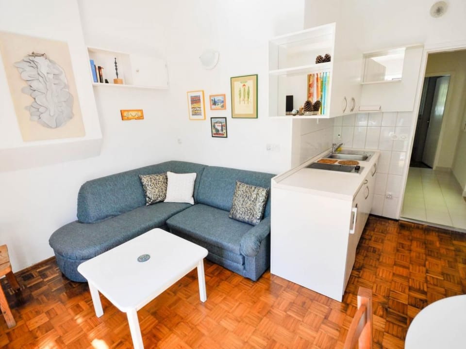 Palme Apartment in Novigrad