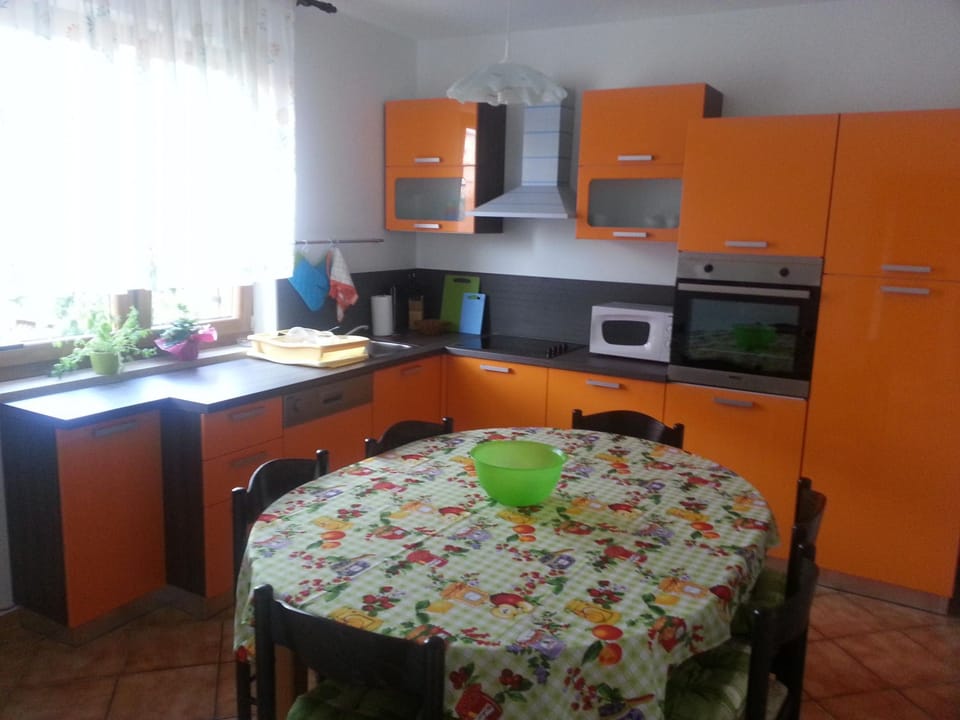 Komplette Villa mit zwei Appartements Vacation rental in Novigrad