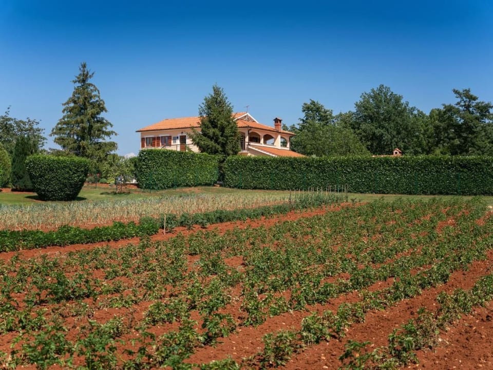 Villa "Villa Dani" mit privatem Pool Vacation rental in Istria County