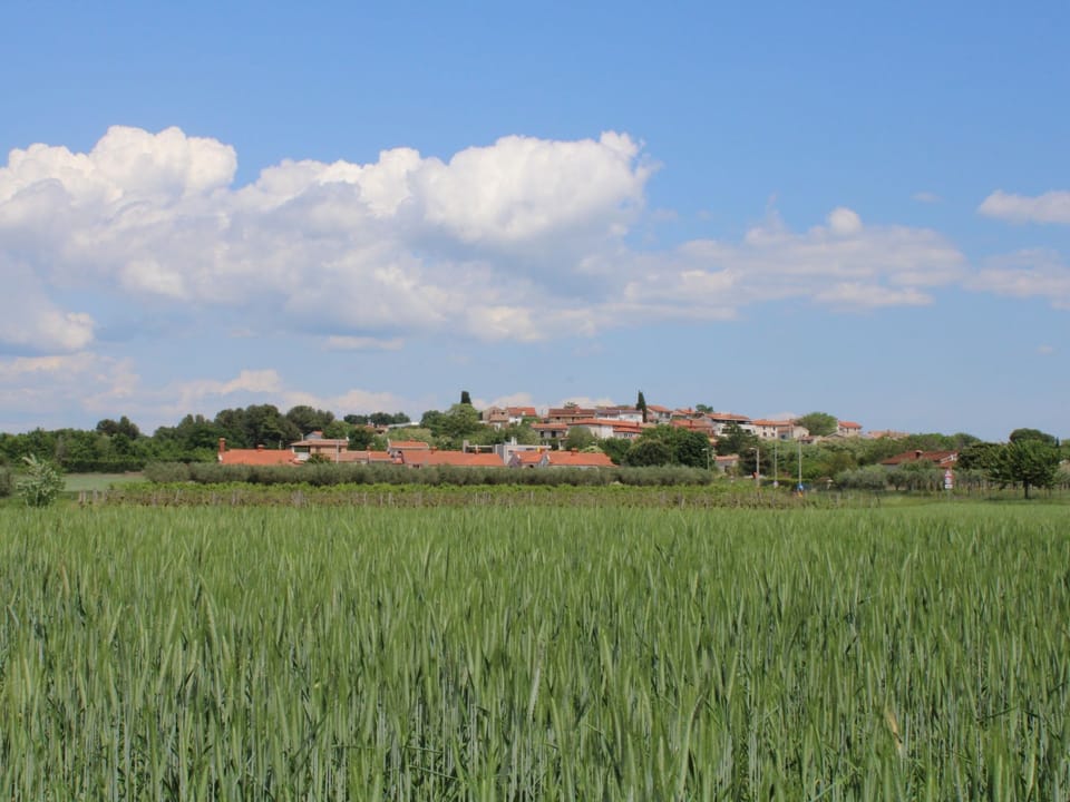 Villa Neela / HR-11039-01 Vacation rental in Istria County