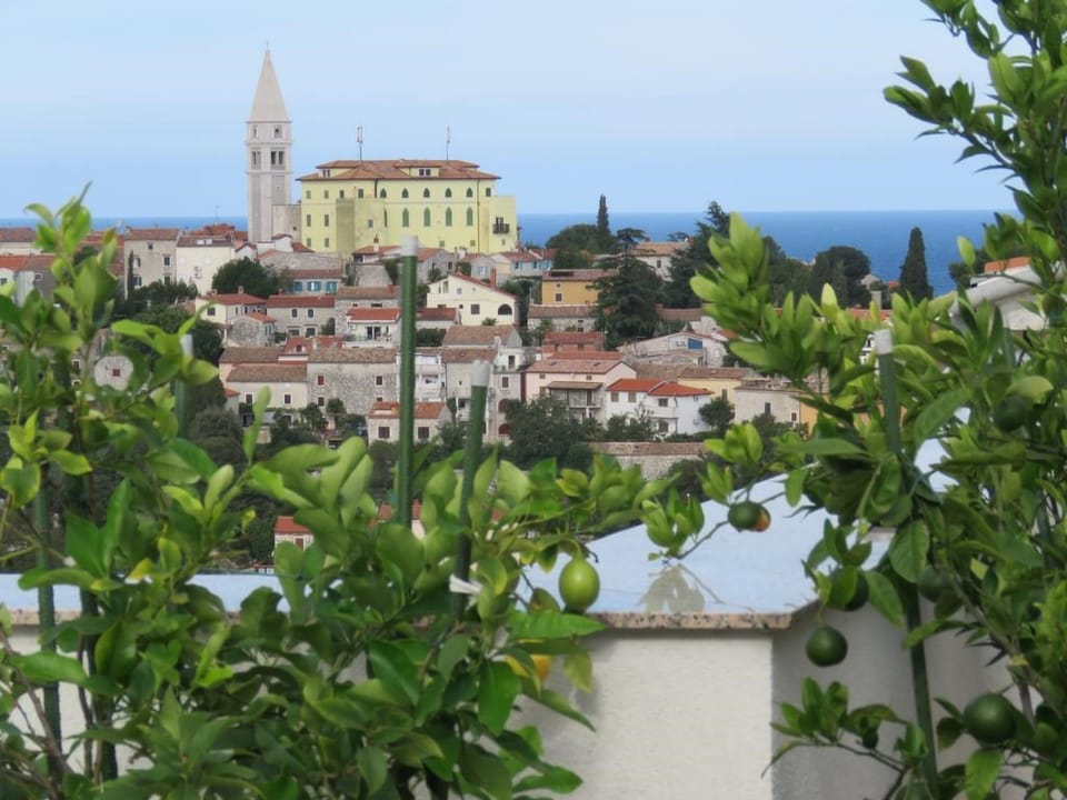 Apartments Villa Urbajs - Studio with Balcony Apartment in Istria County