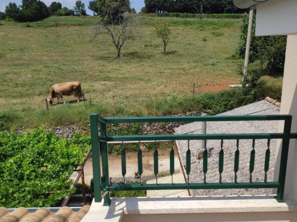 House Perina hiža Apartment in Istria County