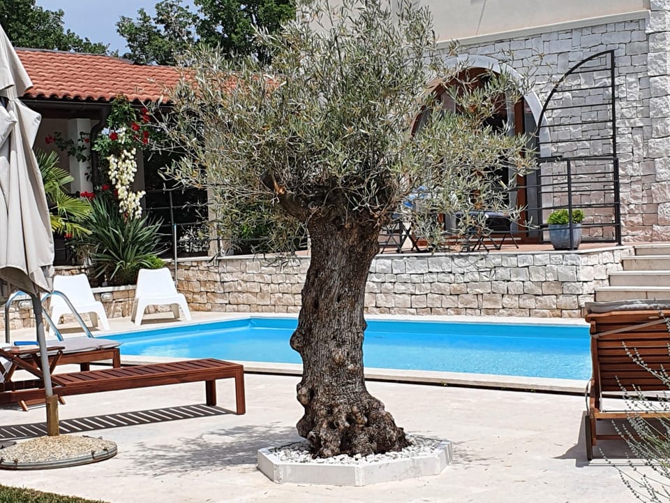 Charmante Villa Histra mit Pool und großem Garten Vacation rental in Istria County