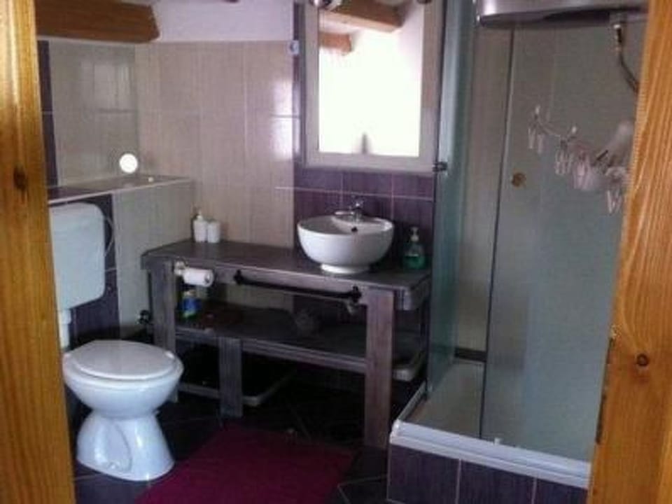 Eti und Mia , 13 personen, piscine Vacation rental in Istria County