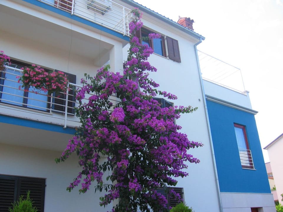 Große Wohnung in Pješčana Uvala mit Eigenem Balk Apartment in Pula