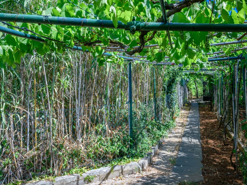 Wunderschönes Ferienhaus in Pomer mit Garten Vacation rental in Medulin