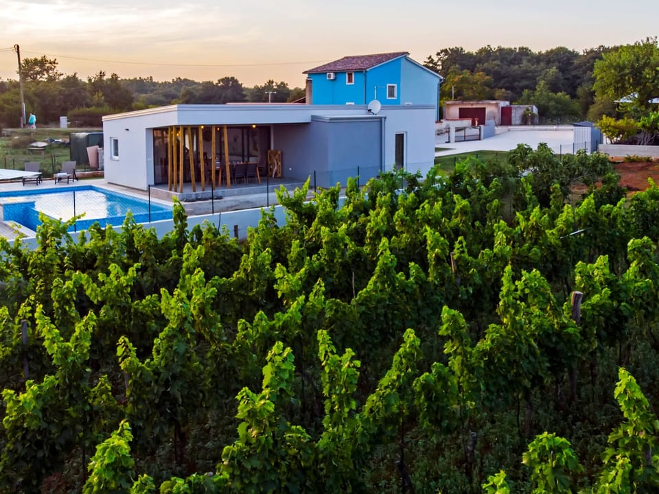 Vollständig freistehende Designervilla mit Infinity-Pool Vacation rental in Istria County