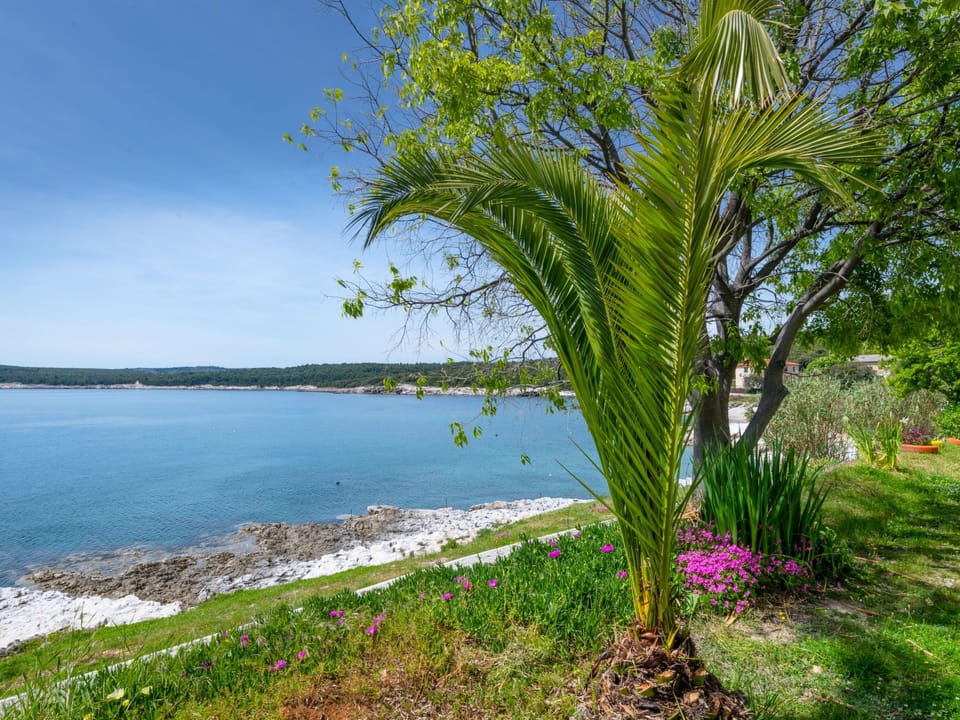 Sea apartment Apartment in Istria County