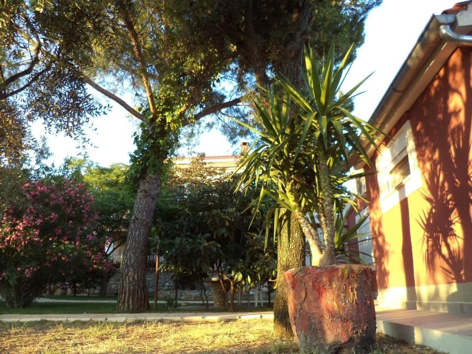 Strandnahes Haus Lolinka mit schattiger Terrasse Vacation rental in Šibenik-Knin County, Croatia