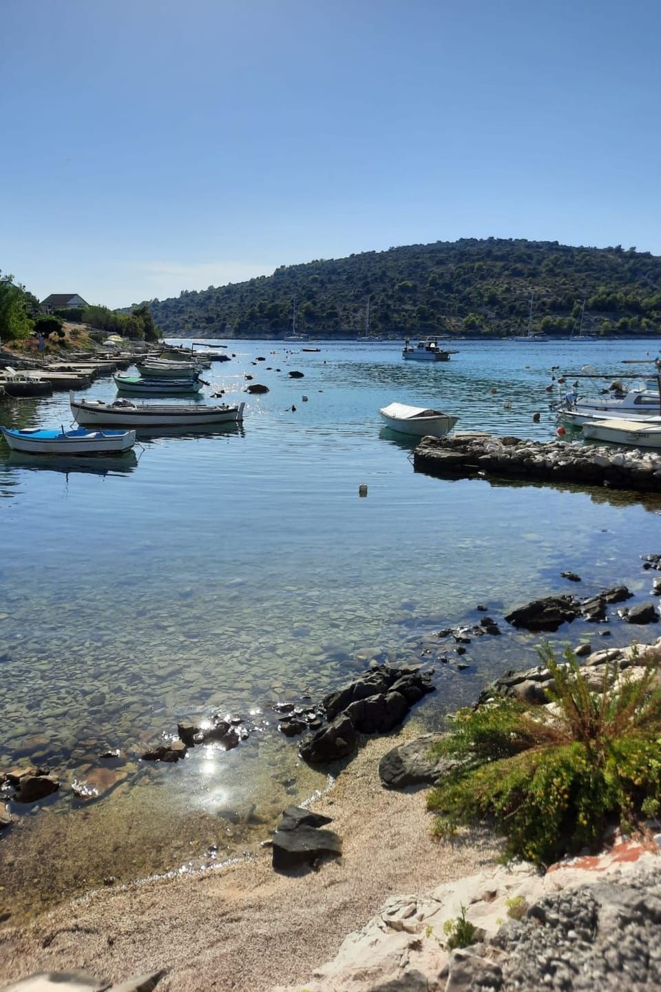 Villa Elena mit Pool, nur 60 Meter zum Meer Vacation rental in Šibenik-Knin County, Croatia