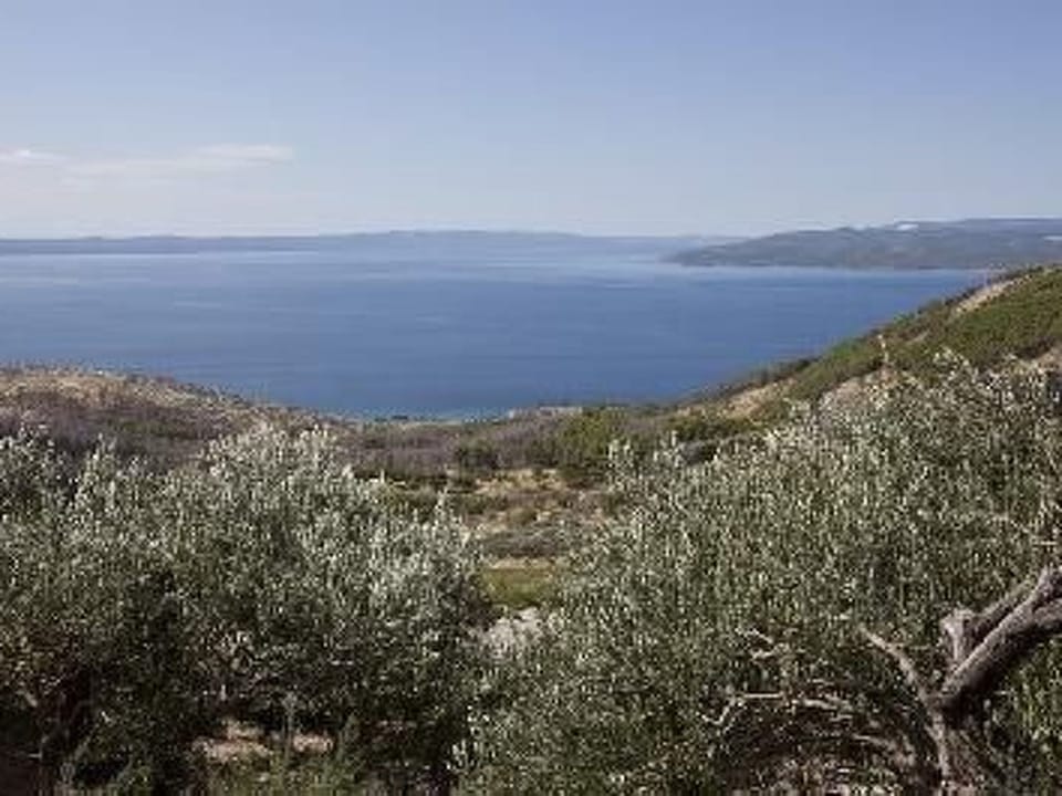 Bella Vista Apartment in Makarska