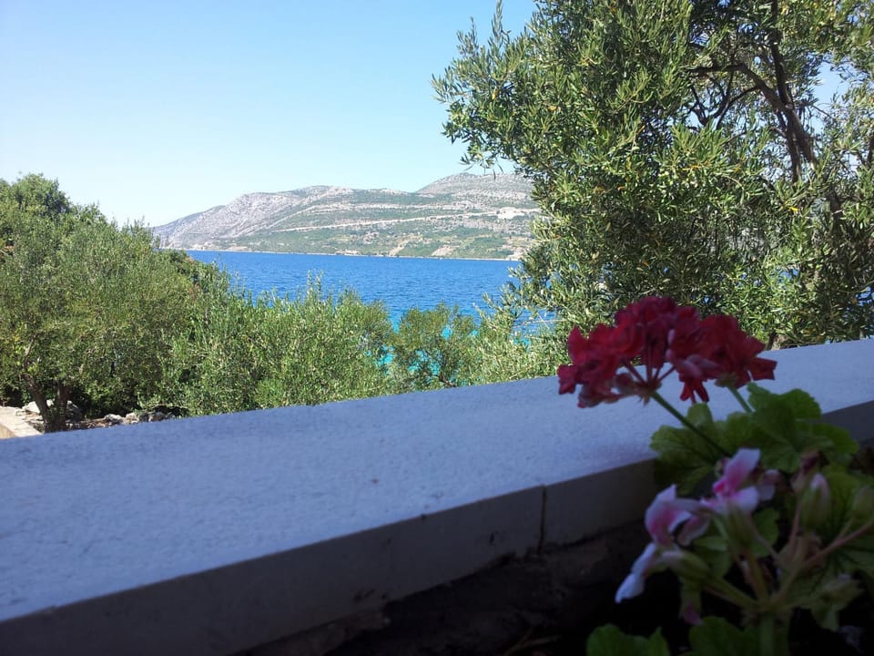 Angenehme Wohnung mit Garten und Barbecue Apartment in Dubrovnik-Neretva County
