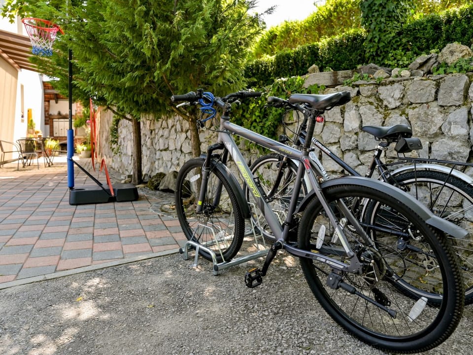 House Sofija Vacation rental in Slovenia