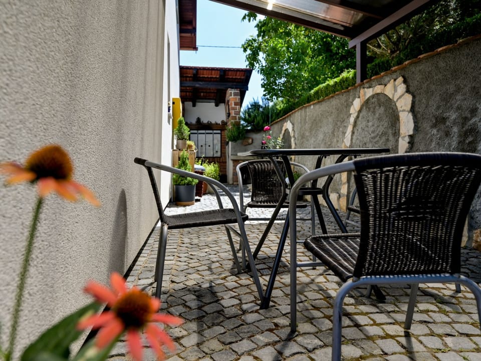 House Sofija Vacation rental in Slovenia