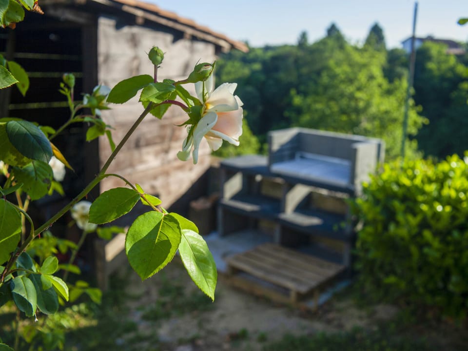 Mood