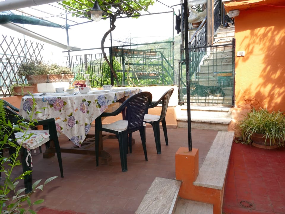 Terrace