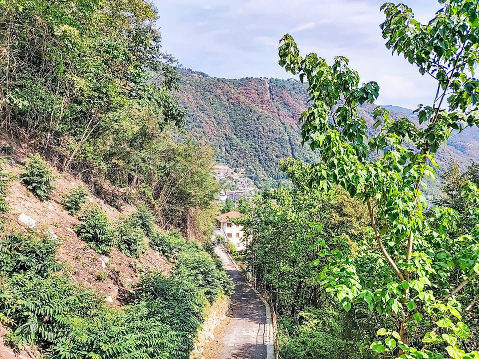 View