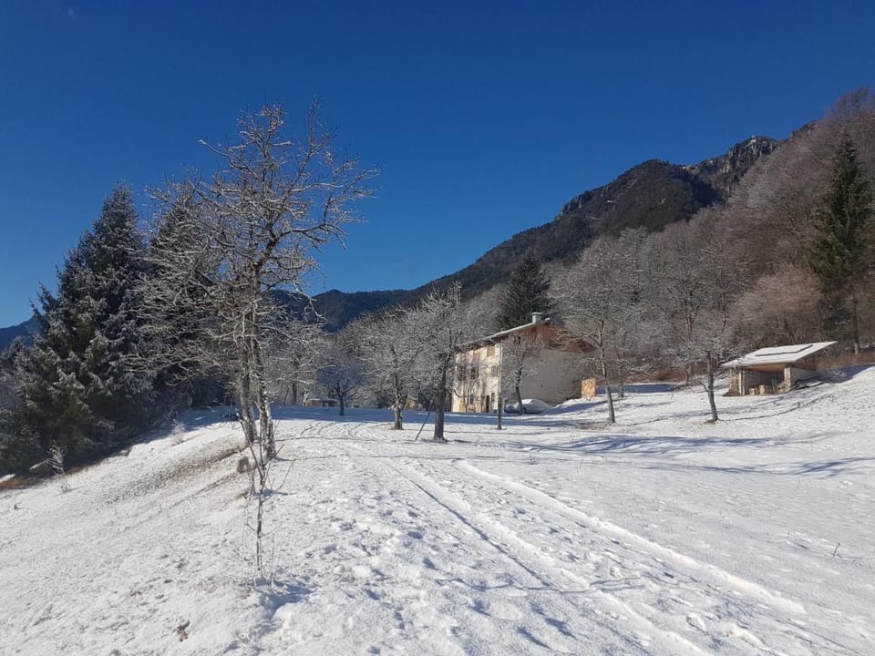 Ferienvilla 'Iagra' mit Wasserblick Vacation rental in Ledro