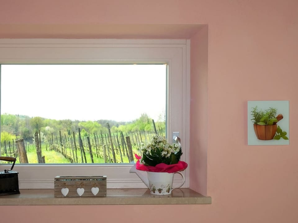 Bauernhof La Bosca Apartment in Province of Brescia
