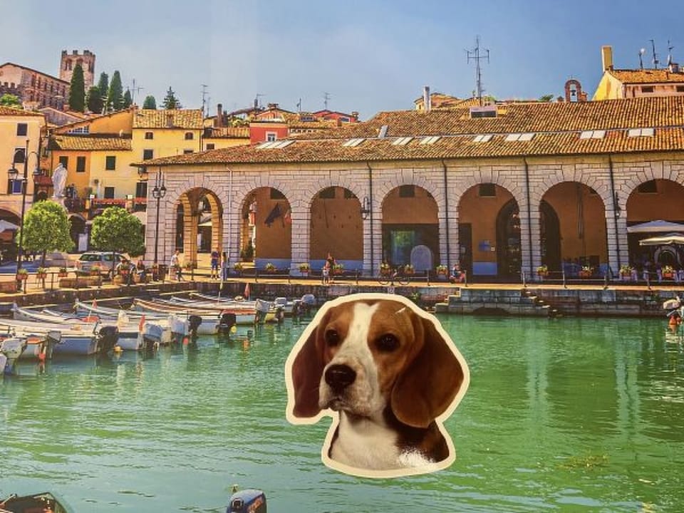 Desenzanoloft Smile on the Lake Apartment in Desenzano del Garda
