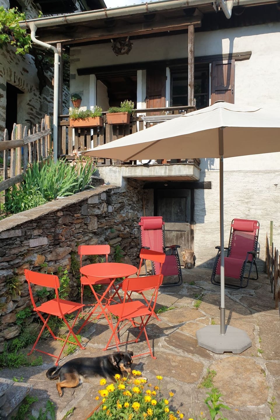 Terrace