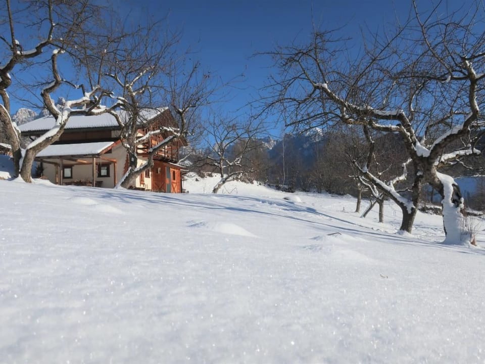 Romantisches Chalet in den Wiesen der Dolomiten Vacation rental in Trentino-South Tyrol