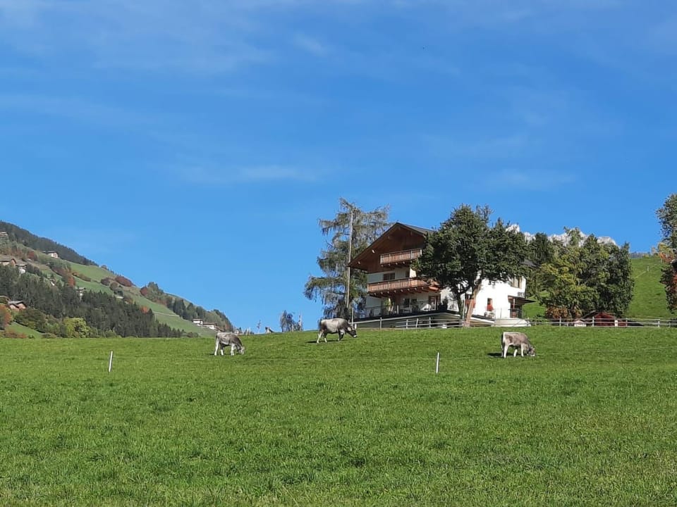 Tera Apartment in Villnöß