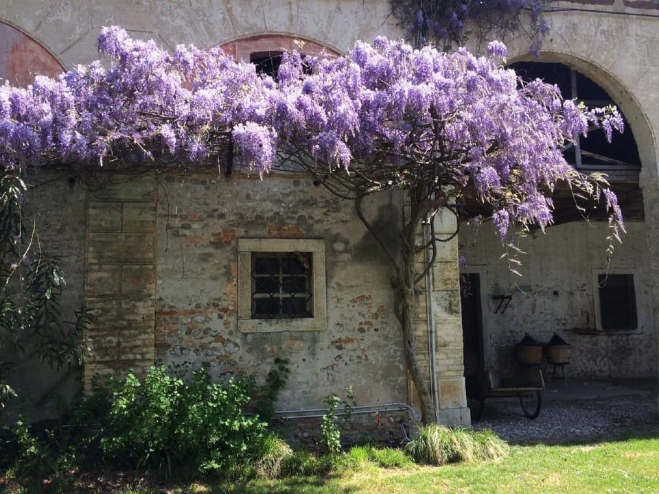 Bellissimo Villa Adelaide Vacation rental in Friuli-Venezia Giulia