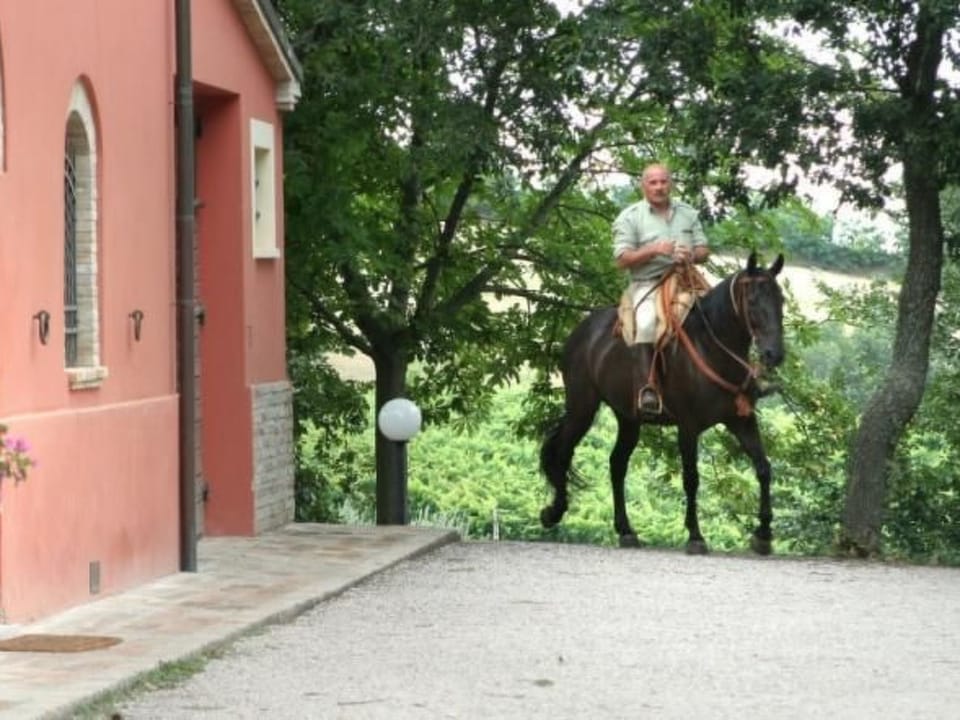 in der Gegend zwischen Meer und Berghang Vacation rental in Marche