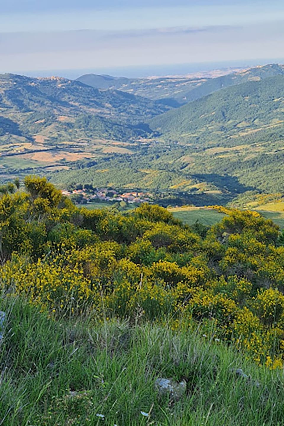 View