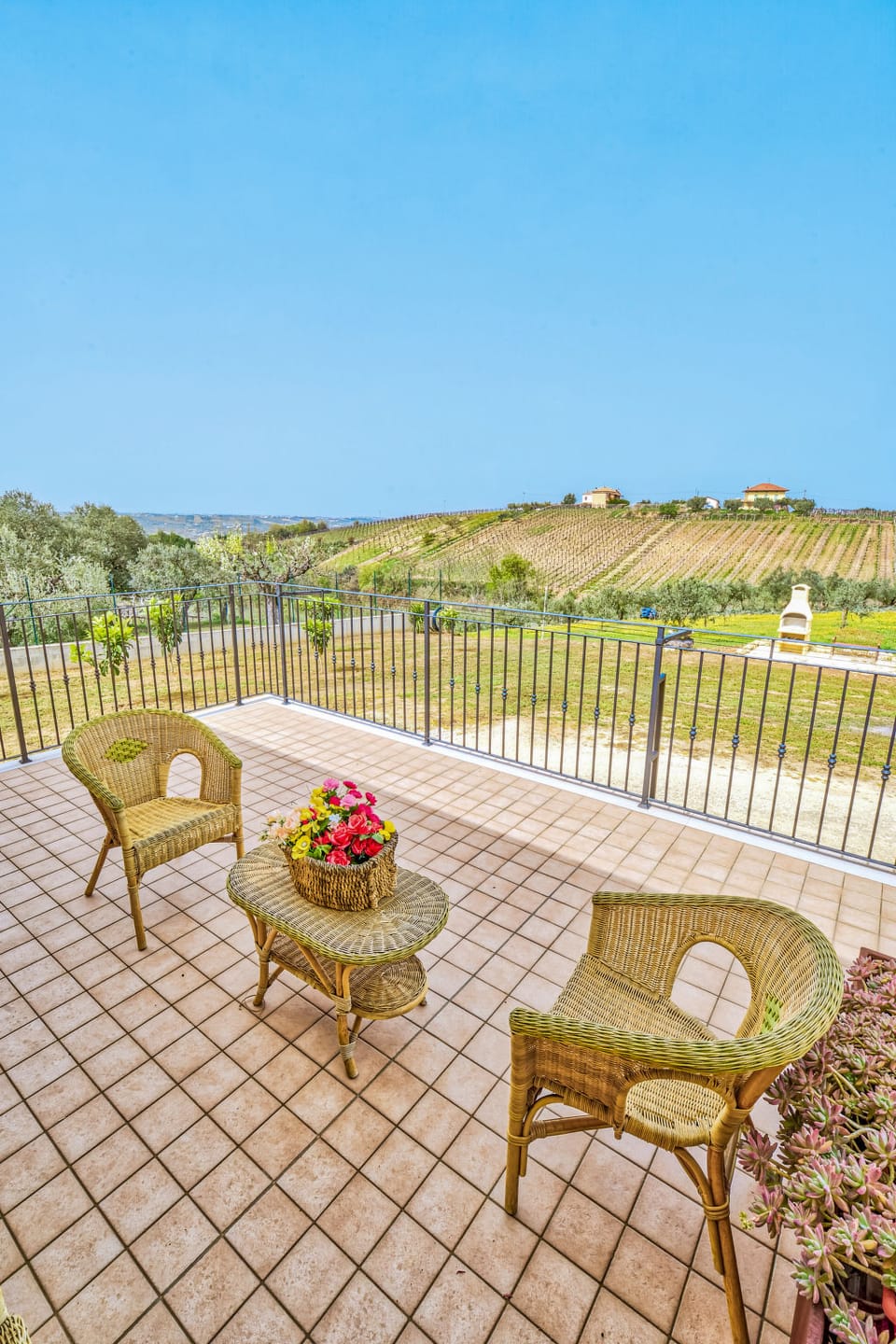 Terrace
