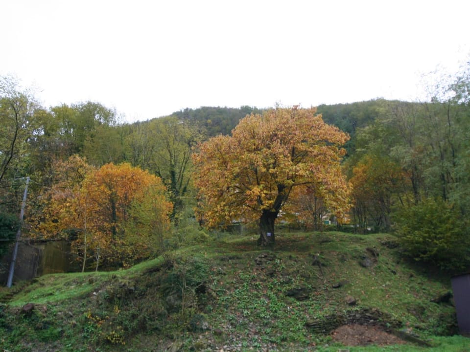 für 3 Personen ca. 37 m&sup2- in Lumarzo, Norditalien (Ligurien) Apartment in Liguria