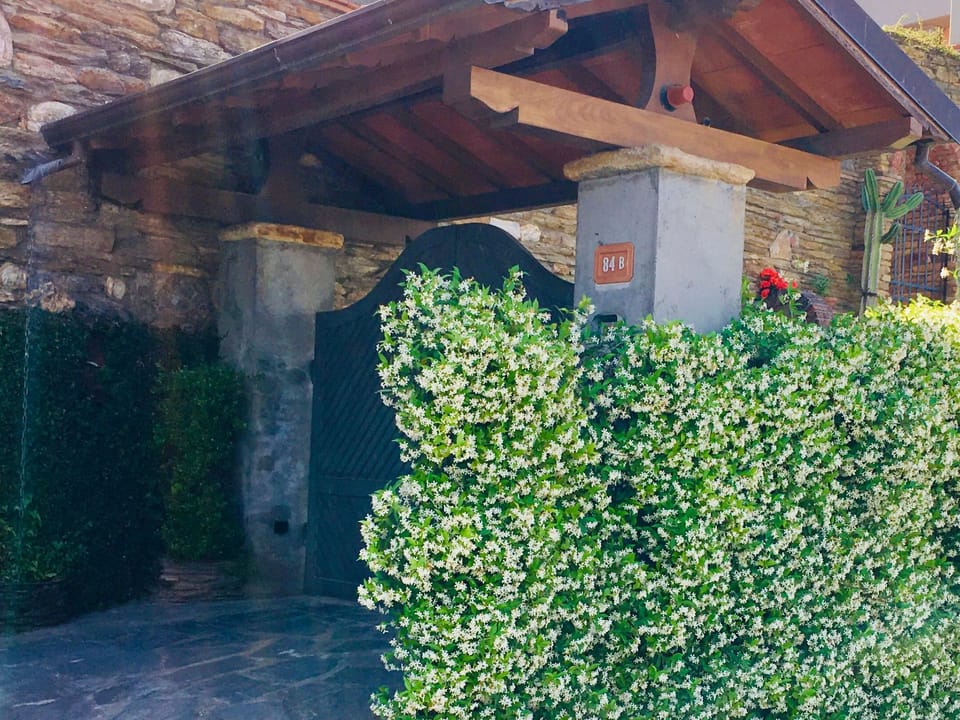 Wohnung 'Gelsomini' mit Meerblick Apartment in Province of Massa and Carrara