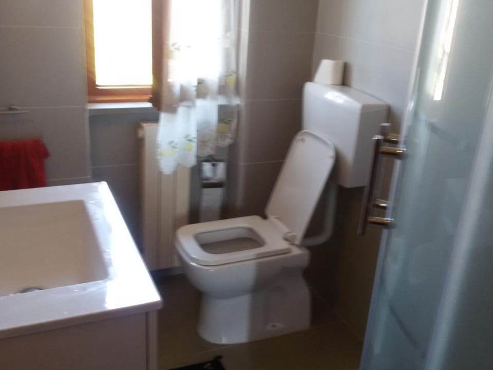 1294993 Apartment in Marina di Massa