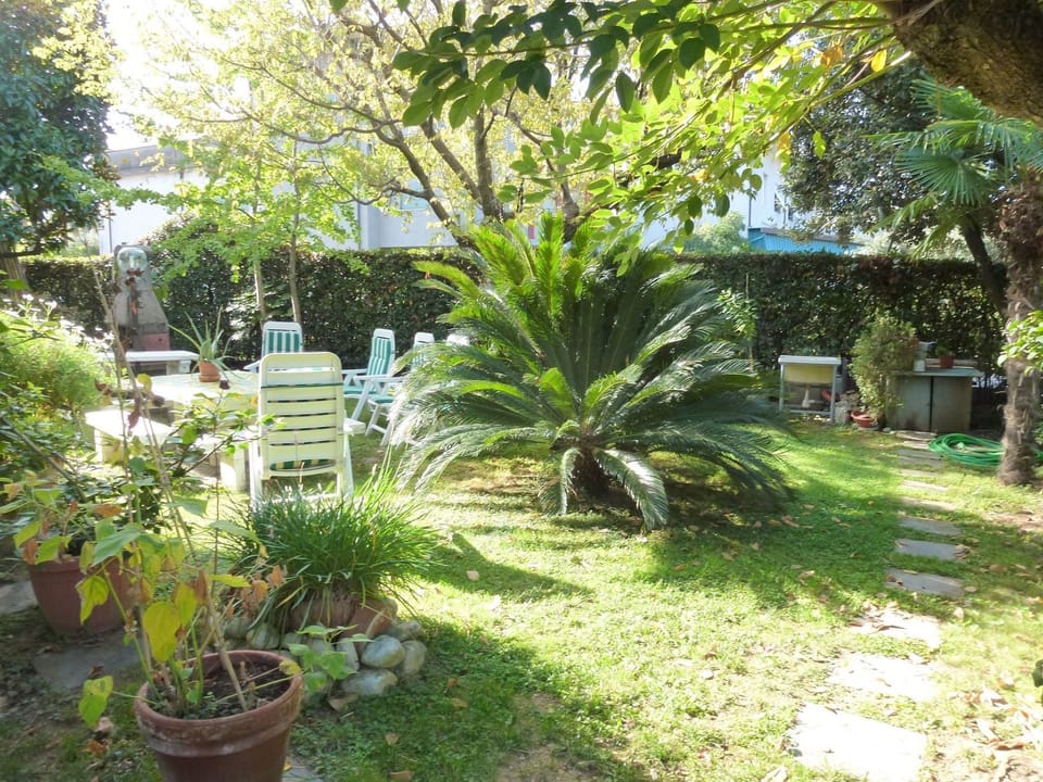 Casa Luisita Apartment in Pietrasanta