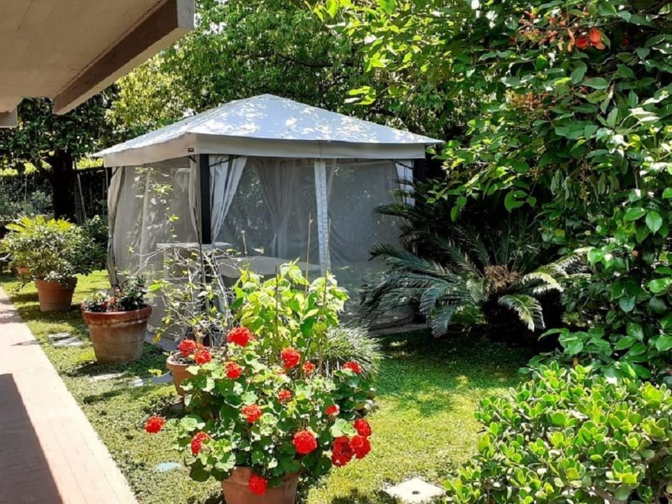 Casa Luisita Apartment in Pietrasanta