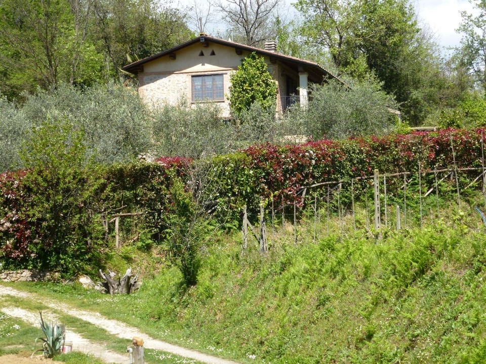 Rustico in schöner ruhigen Lage mit privatem Pool und großem Garten. Vacation rental in Camaiore