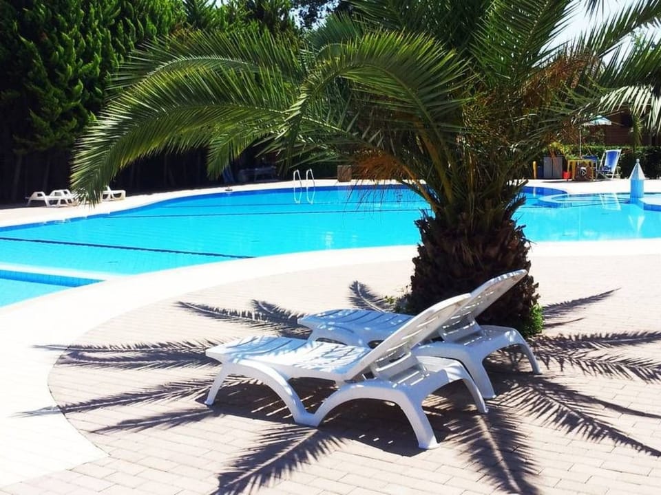Pool Outdoor